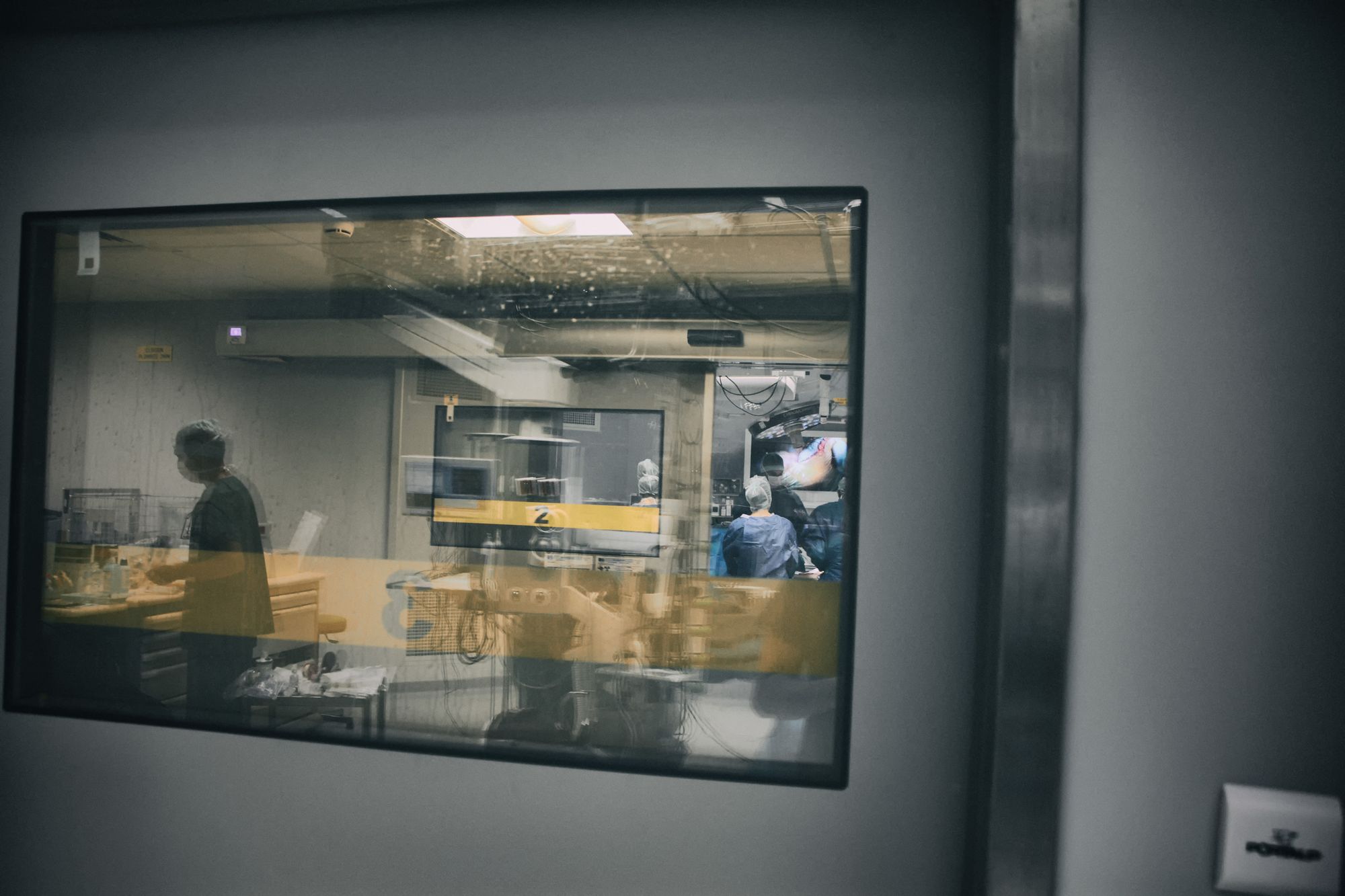 Staff at work in a clean clinical facility, seen through a window